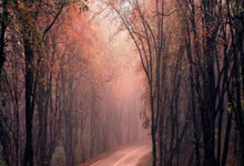 皇家社会对阵塞维利亚最终比分会是多少？深度剖析两队走势与潜在赛果